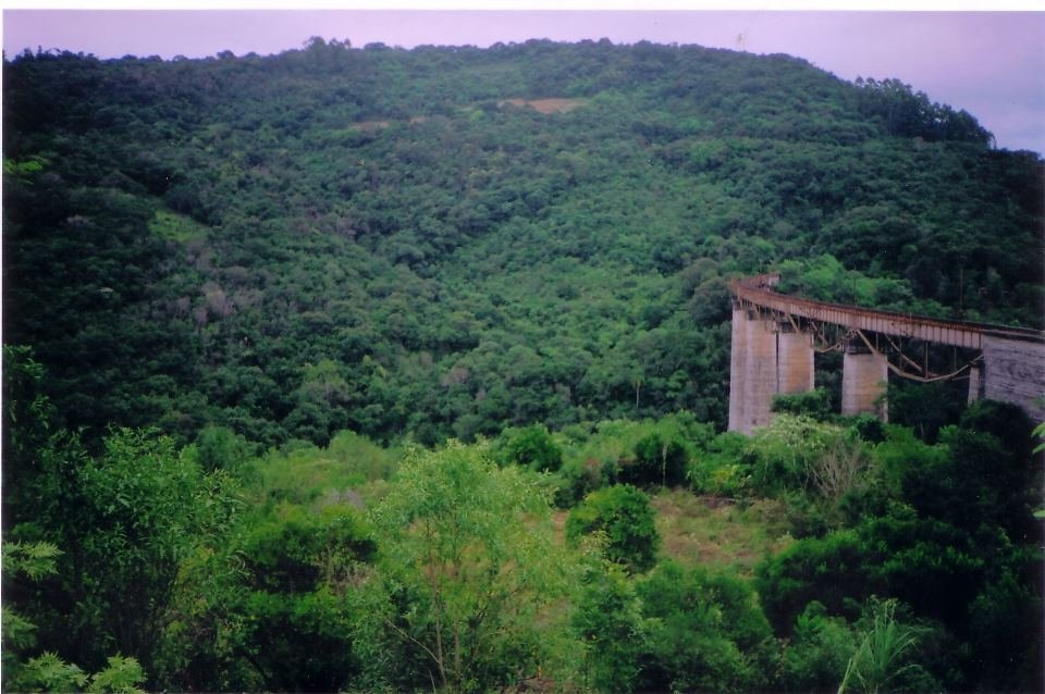 Vale verde com o Viaduto Pesseguinho ao fundo