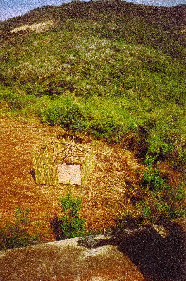 Primeira estrutura de madeira no terreno
